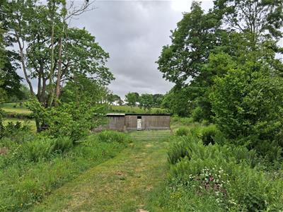 Picture 28